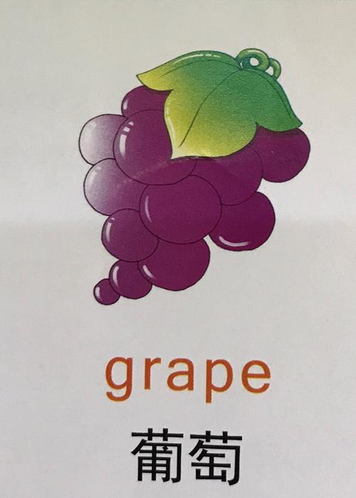 葡萄英语怎么说grapes